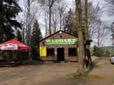Wodarz